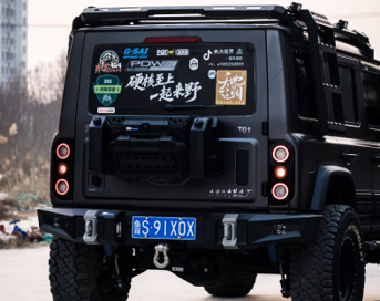 Black Warrior rare bumper